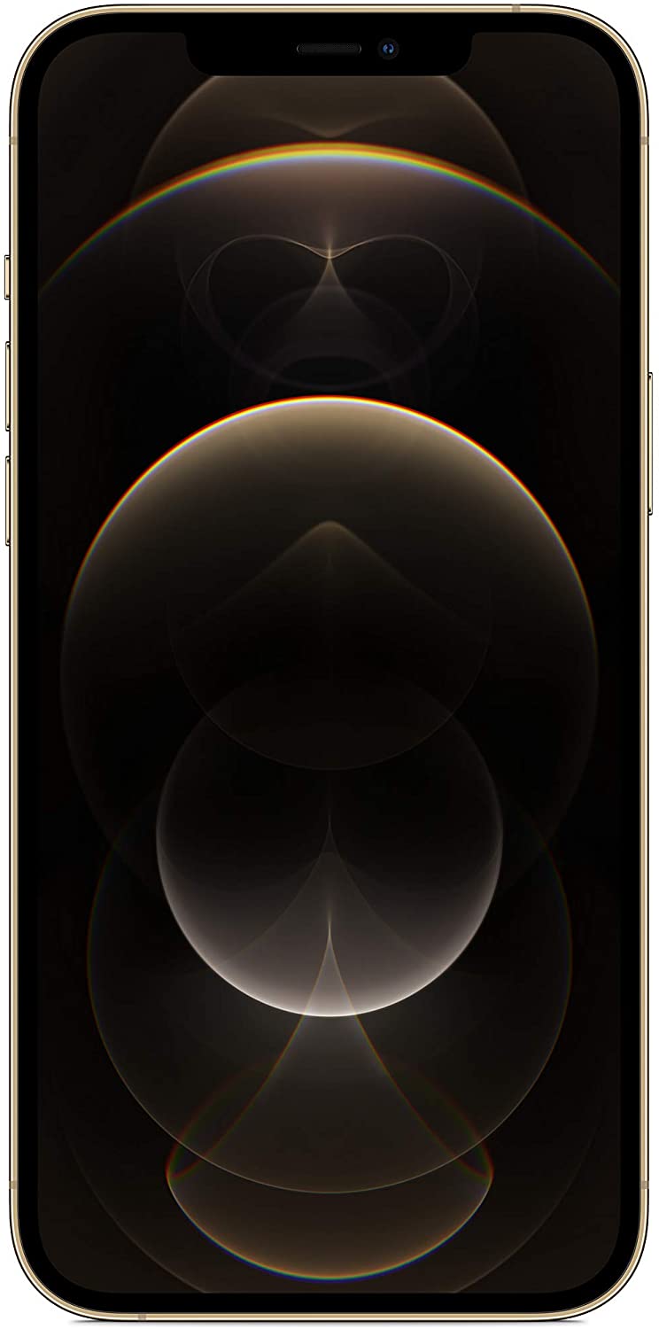 Apple iPhone 12 Pro Max in de kleur Grafiet