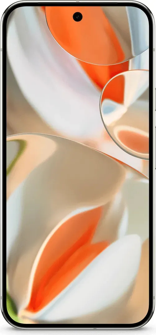 Google Pixel 9 Pro XL in de kleur Porcelain